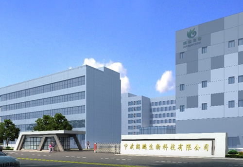 宁波678体育